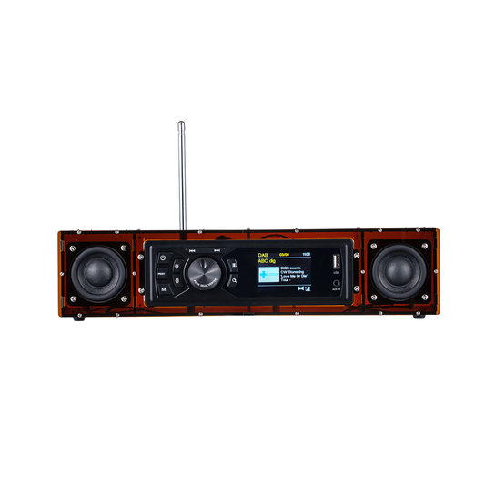 AOVOTO ALK103 Kits radio FM/DAB Do It Yourself (DIY) avec coque en acrylique, ensembles DIY DAB+/FM avec mode alarme et écran LCD et boîte de son stéréo (marron)